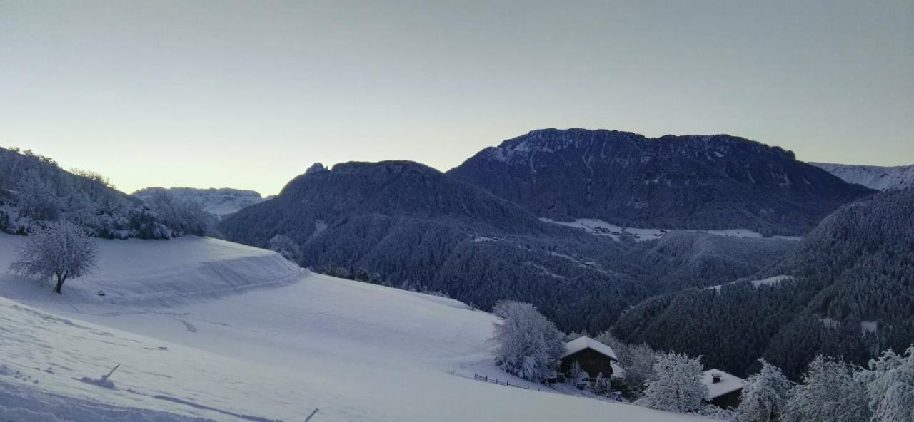 Alpine Chalet Aurora Dolomites Laion Exterior photo